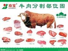 供应IBP冷冻牛腱肉国外厂家原装