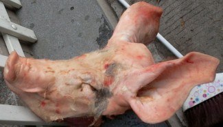 丹麦冷冻食品批发丹麦皇冠51厂冷冻猪头冷冻猪蹄