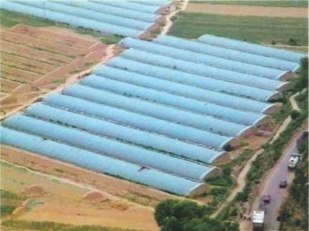 日光温室大棚 生态温室大棚 温室大棚 潍坊日光温室大棚