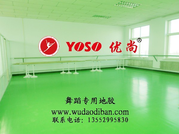 塑胶地板 北京舞蹈地胶
