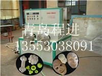 供应宠物玩具生产设备 乳胶玩具机械 青岛程进