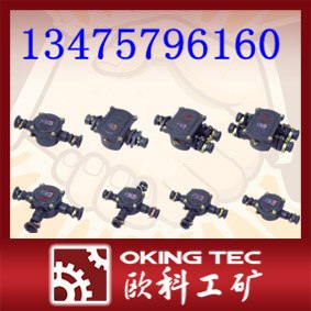 供应BHD2系列矿用隔爆型低压电缆接线盒