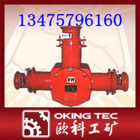 供应BHG1防爆高压电缆接线盒
