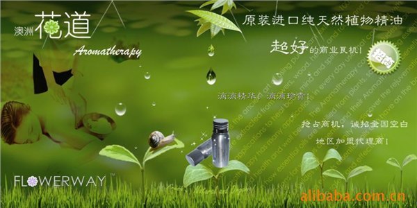 什么牌子的精油最好?适合做芳香疗法DIY精油调配?
