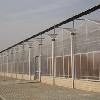 寿光新型工程 禽畜舍建设 养殖棚建设-寿光盛鑫