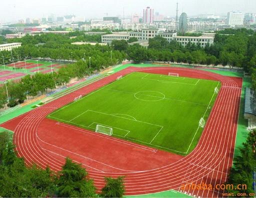 沈阳塑胶跑道 沈阳塑胶跑道经销商供应沈阳塑胶跑道东大汉尔森
