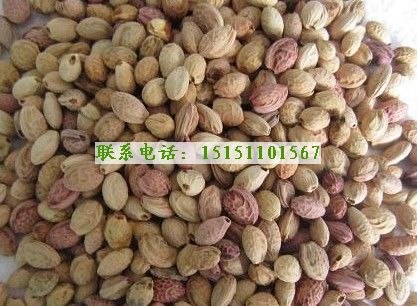 江苏永顺种业有限公司