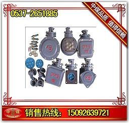 供应电机接线盒防爆电机接线盒电机接线板
