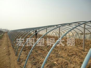 新型塑钢大棚建设 诸城蔬菜温室大棚建设-寿光宏图