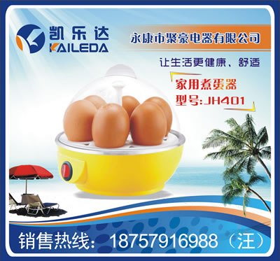 供应全自动煮蛋器/迷你煮蛋器/智能煮蛋器