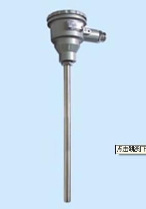 WRN-140无固定装置防爆热电偶多种形式防爆 安全可靠
