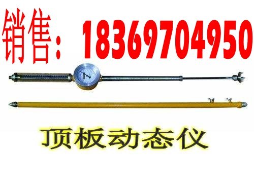 供应DYK-82顶板动态仪，顶板离层仪，顶板离层报警仪