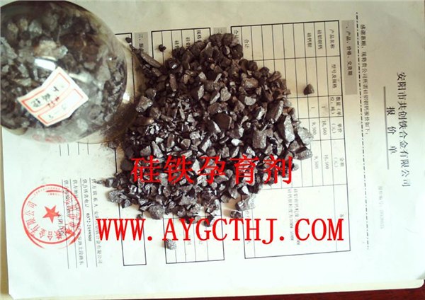 生产销售规格0-3mm 3--10mm硅铁粒孕育剂  冶金