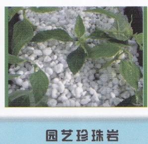 最优质育苗穴盘 潍坊销售供应厂家-寿光恒先
