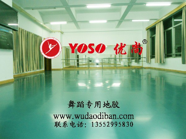特别版报价舞蹈地胶