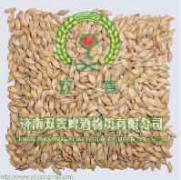 [原料]-啤酒生产原料-啤酒原料-啤酒原料批发-啤酒原料厂家