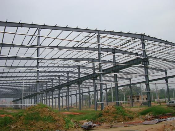 日照专业安装钢结构 油罐大型体育馆 防尘网的钢结构工程