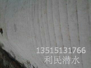 连云港模袋护坡公司供模袋混凝土水下护坡135一五一31766