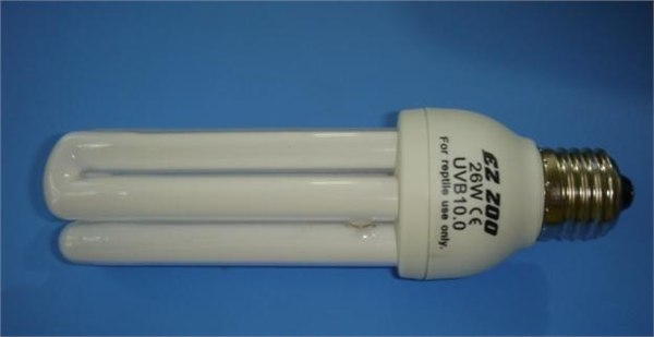 供应节能灯IEC60968检测多少钱，IEC60969测试价格