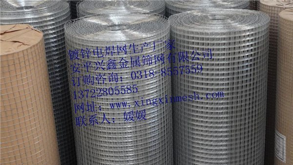 广东筛网厂供应不锈钢电焊网，镀锌电焊网，粉墙铁丝网