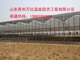 温室大棚设计骨架建设、温室大棚设计骨架建设公司哪家强--万红
