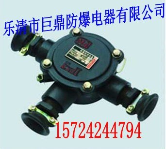 供应咱销售 BHD2-25/3矿用隔爆型低压电缆接线盒