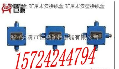 供应制造JHH-2（二通矿用接线盒）JHH-2本安接线盒