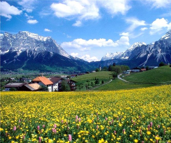 重庆旅行社中的重庆中亚国际旅行社推荐重庆旅游：仙女山二日游