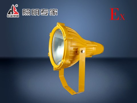 恒盛照明直销防爆投光灯-BF350
