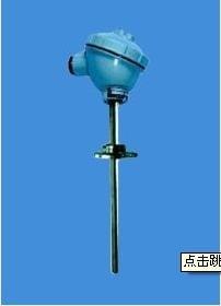 WRE2-330可动卡套双支热电偶