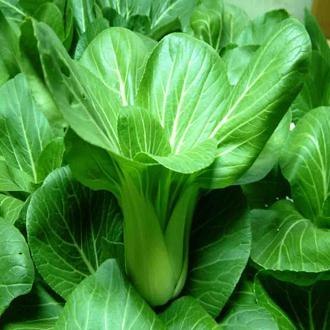 供应餐饮公司专业工厂企业单位承包食堂蔬菜配送公司