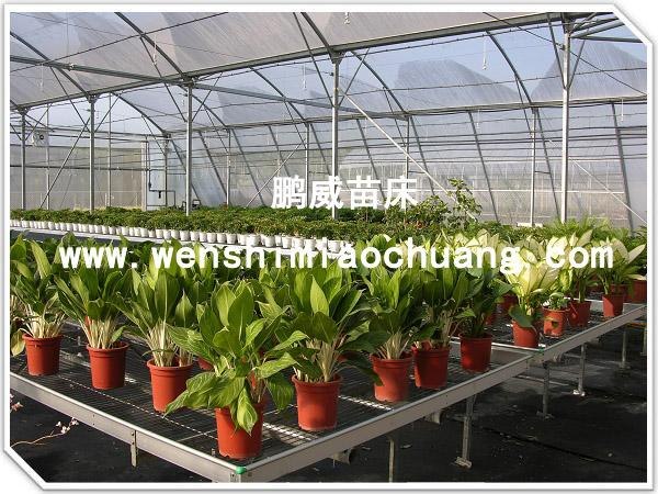 提供固定苗床网工作原理 固定苗床网型号说明