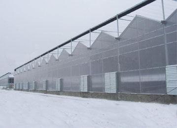 2012下半年山东智能型连栋温室最新报价-盛鑫