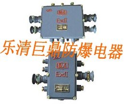 供应30对电话分线盒 20对电话分线盒 10对电话分线盒