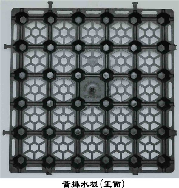 蓄排水架空板