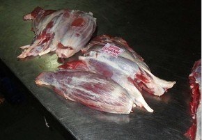 供应巴西进口冷冻牛腱冷冻牛眼肉