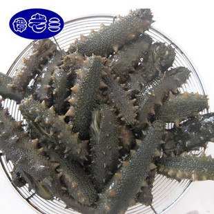 盐渍海参