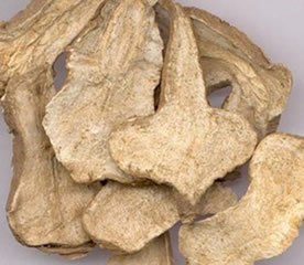 湖北白术干品厂家/白术干品/帝豪中药材种植