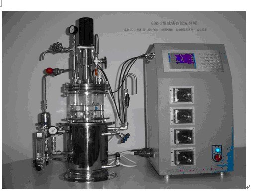 【无人值守型】全自控光生物反应器气升式发酵罐气升式生物反应器