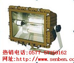 供应森本SBD3109防爆泛光灯