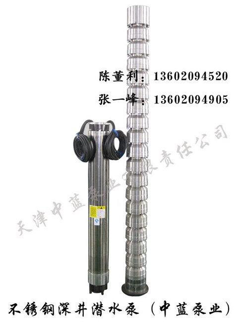 不锈钢316L潜水泵