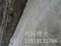 扬州模袋生产厂家提供模袋施工价格，技术1351五131766