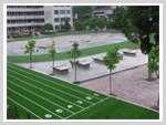 河北塑胶跑道|沈阳塑胶跑道|重庆塑胶跑道 昌宇（图片）特供