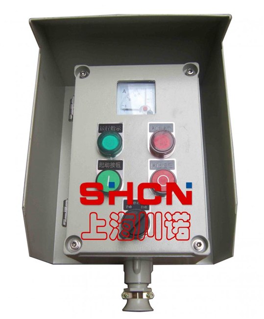 BZC系列（IIC）带防雨罩防爆操作柱、