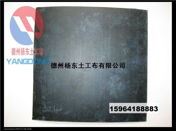 专业防水防水板 德州扬东土工布有限公司生产专业防水板