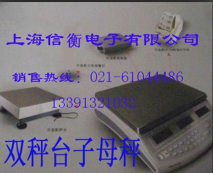 控制报警电子地磅