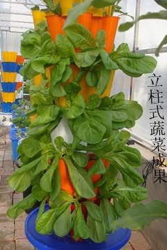 春宇打造无土栽培设备新形象蔬菜花卉进阳台空气自然加湿