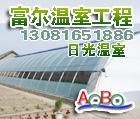 青州温室大棚建设 蔬菜温室大棚建设 蔬菜温室大棚报价 奥博