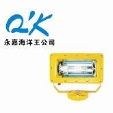 供应防爆灯具BFC8100