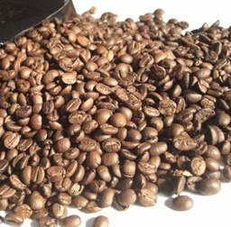 供应上海咖啡豆供应商咖啡豆专卖进口咖啡豆